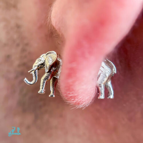 پیرسینگ فیل شکنج